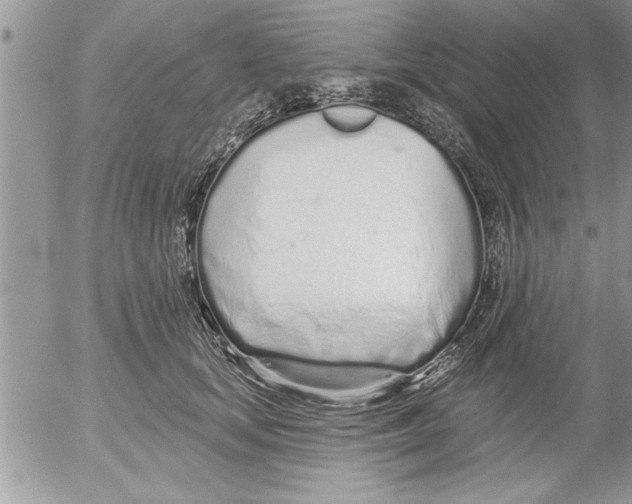 X0000052540659200507291852