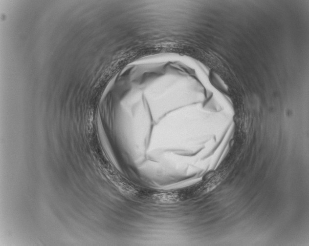 X0000052540660200507291852