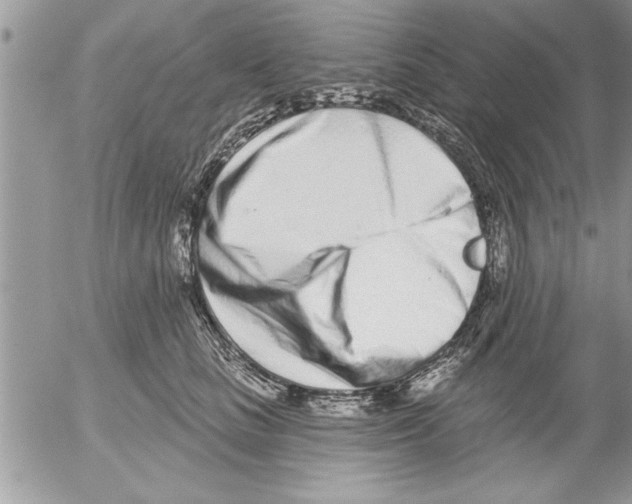 X0000052540661200507291852