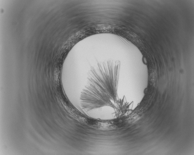 X0000052540662200507291852