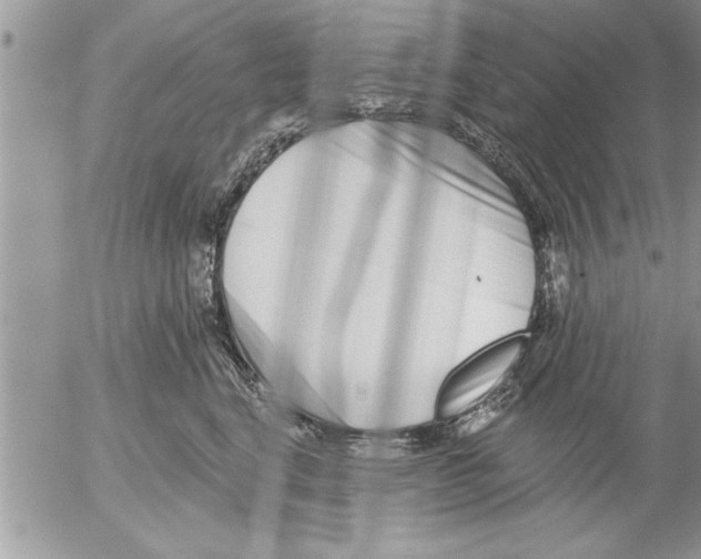 X0000052540664200507291852