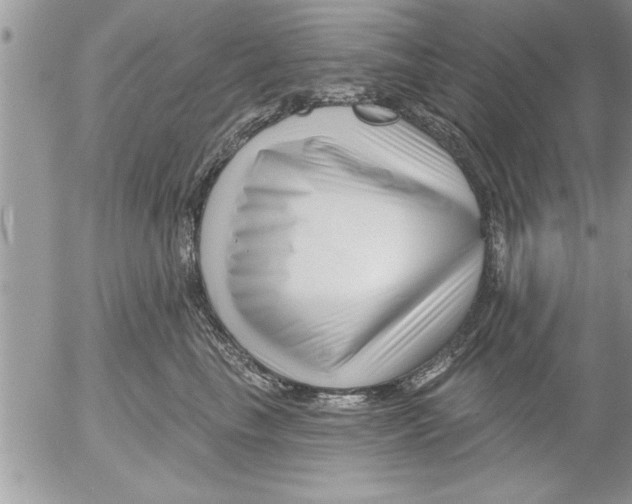 X0000052540665200507291852