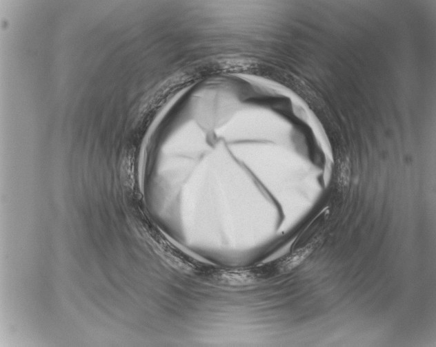 X0000052540666200507291852