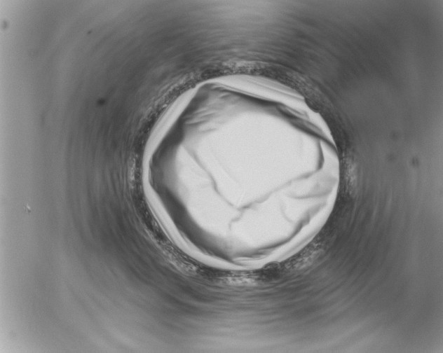 X0000052540668200507291852