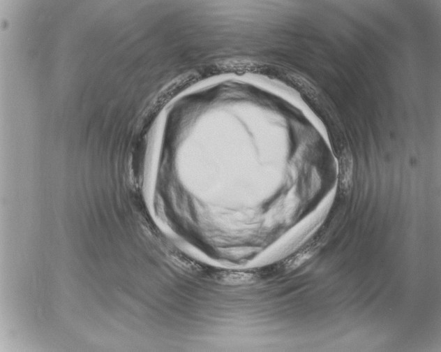 X0000052540669200507291852