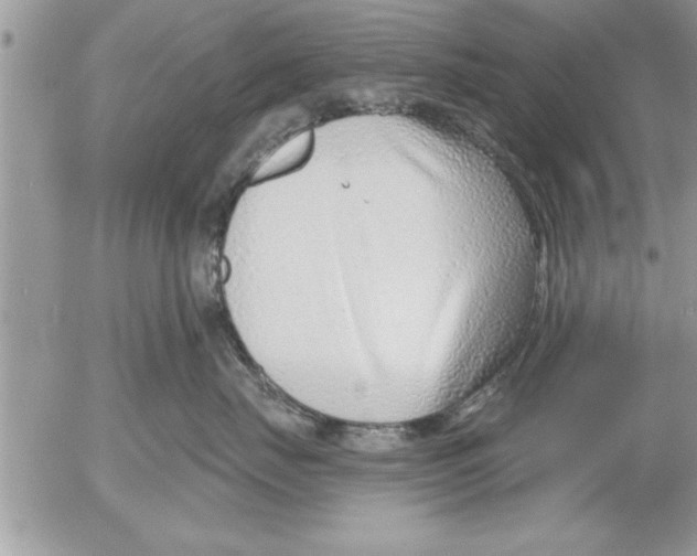 X0000052540671200507291852