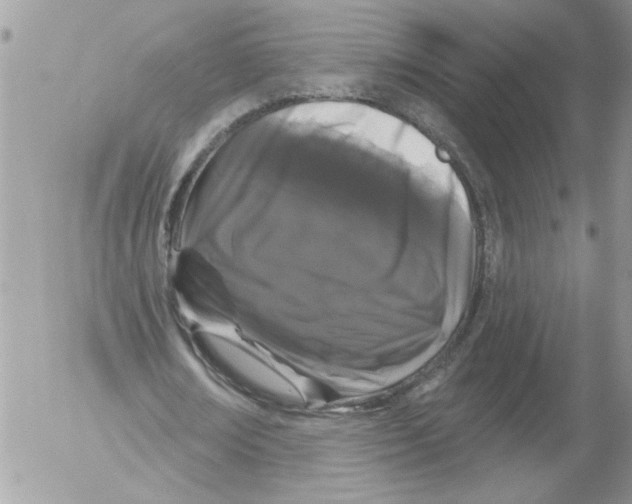 X0000052540674200507291851