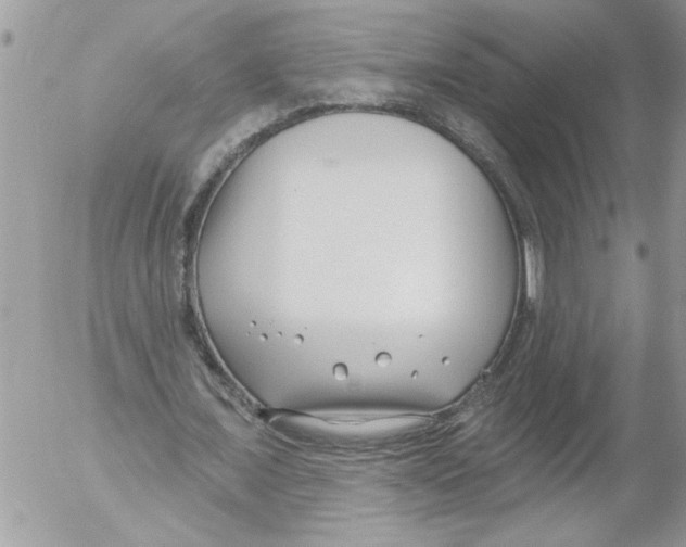 X0000052540675200507291851