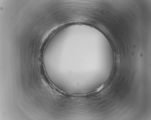 X0000052540676200507291851