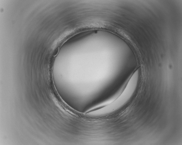 X0000052540677200507291851