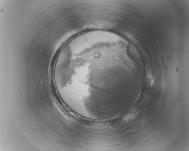 X0000052540678200507291851