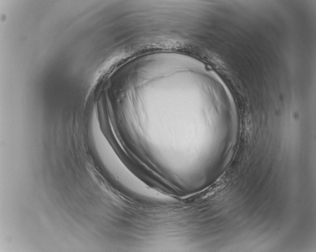 X0000052540679200507291851