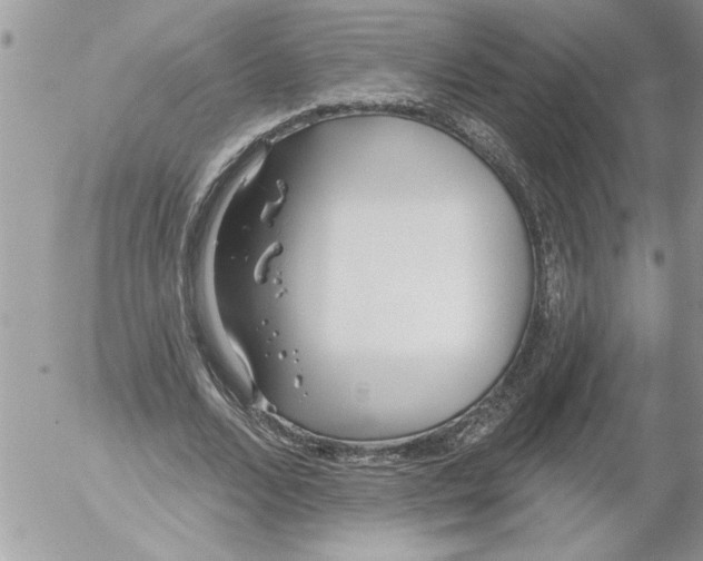 X0000052540680200507291851