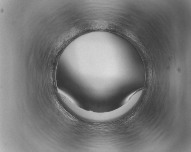 X0000052540681200507291851