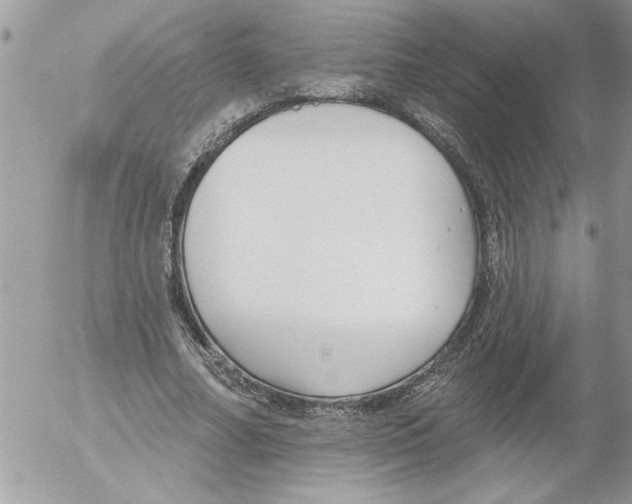 X0000052540682200507291851