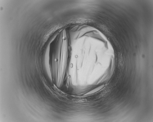 X0000052540683200507291851