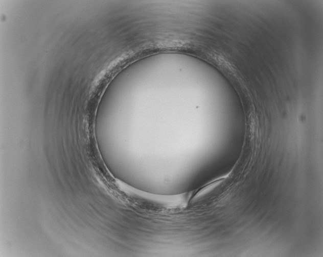 X0000052540684200507291851