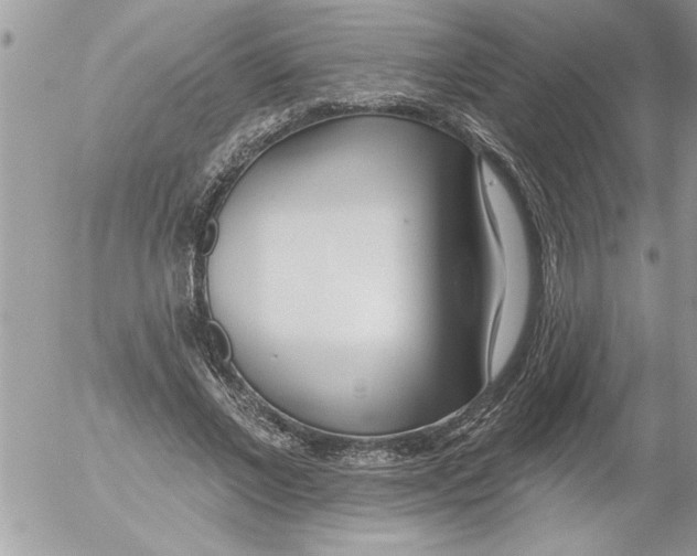 X0000052540685200507291851