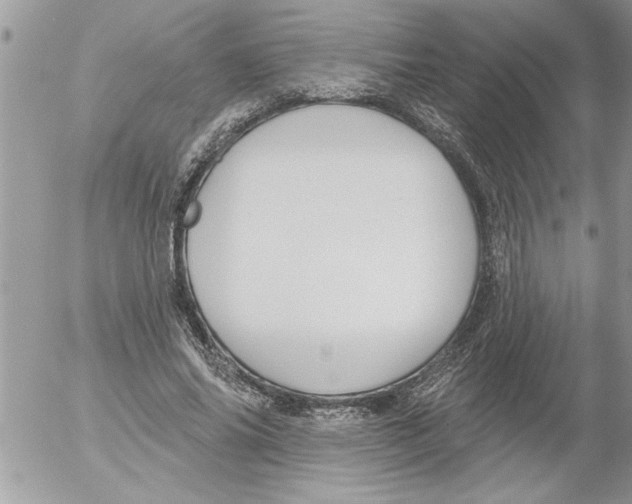 X0000052540686200507291851