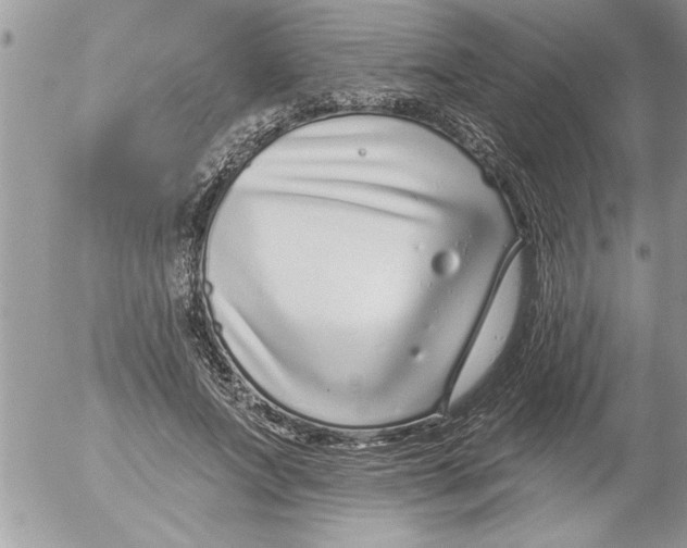 X0000052540687200507291851