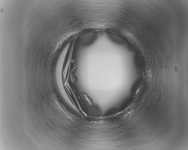 X0000052540688200507291851