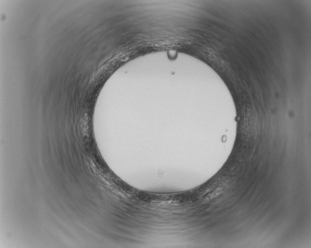 X0000052540689200507291851