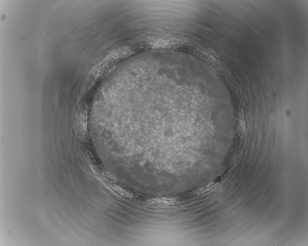 X0000052540691200507291851