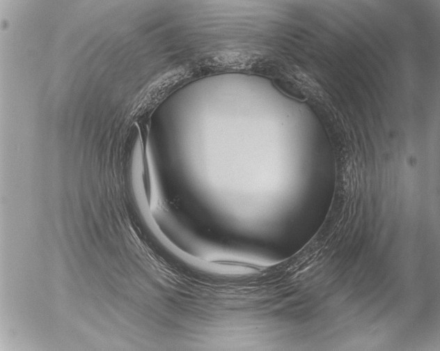 X0000052540693200507291851