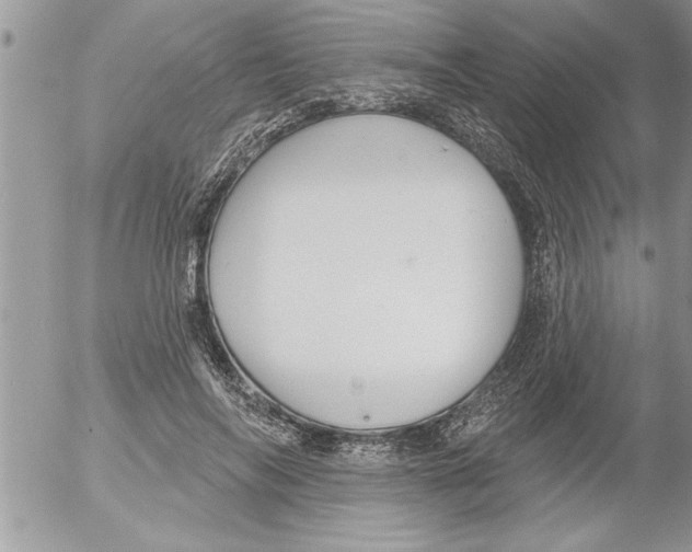 X0000052540694200507291851