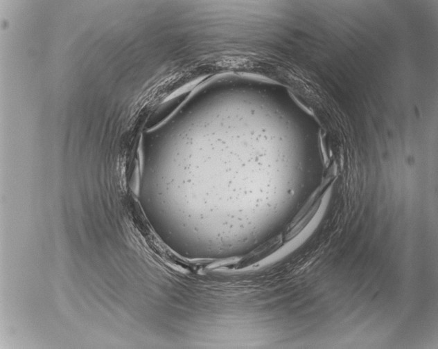 X0000052540696200507291851