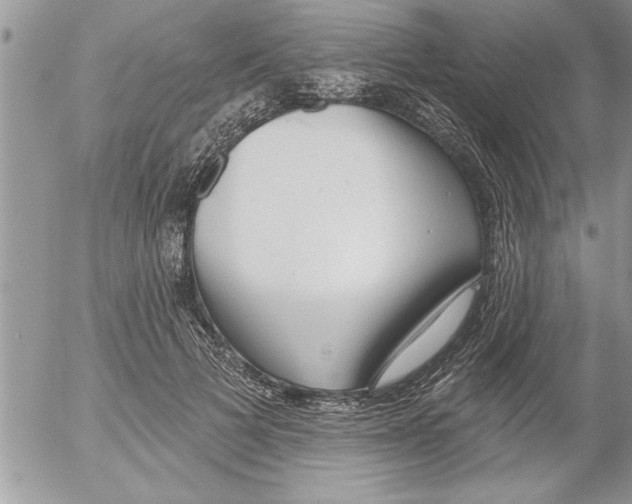 X0000052540697200507291851