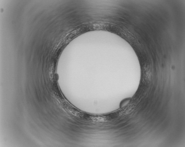 X0000052540698200507291851