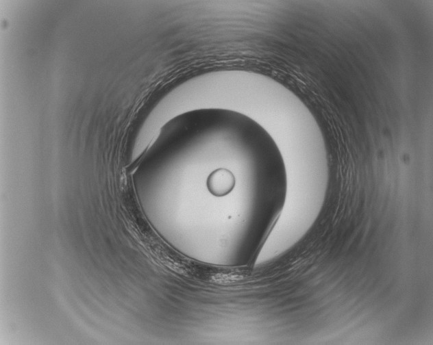 X0000052540699200507291851