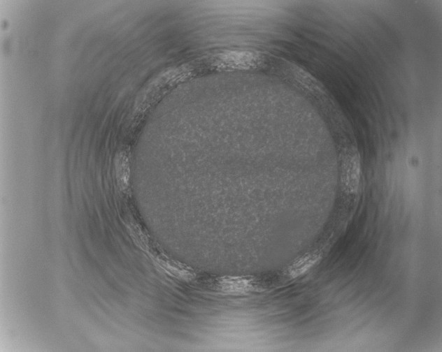 X0000052540701200507291851