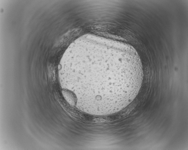 X0000052540703200507291850