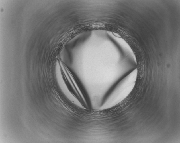 X0000052540704200507291850