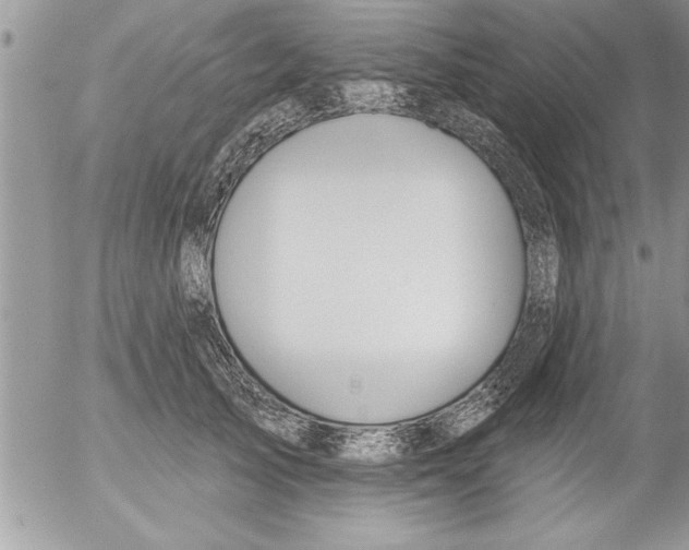 X0000052540705200507291850