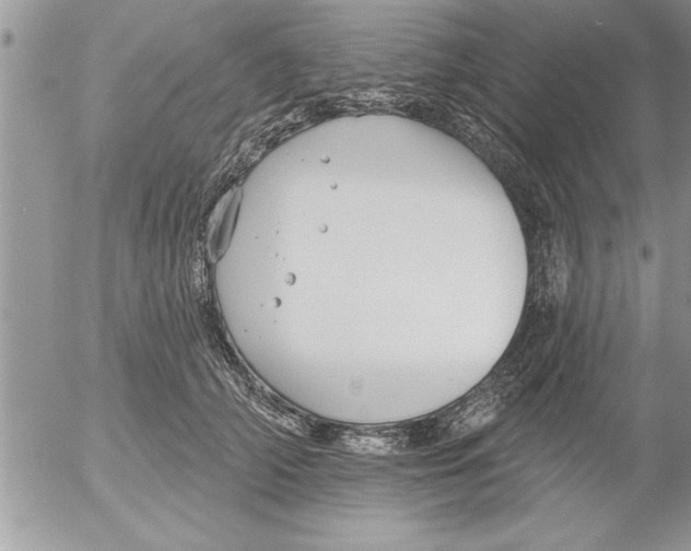 X0000052540706200507291850