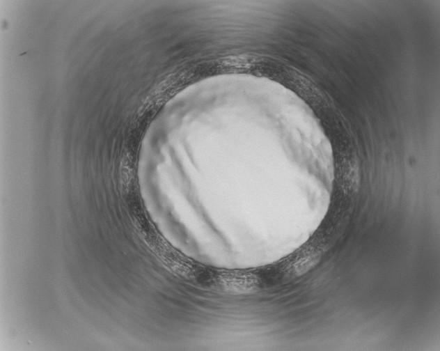 X0000052540707200507291850