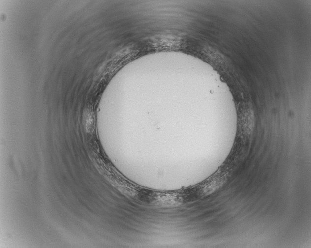 X0000052540709200507291850