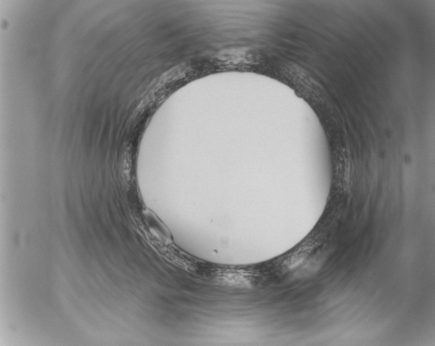 X0000052540710200507291850