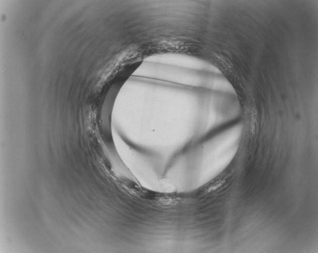 X0000052540712200507291850