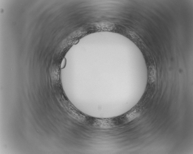 X0000052540713200507291850