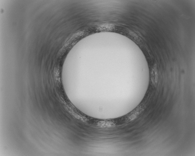 X0000052540714200507291850