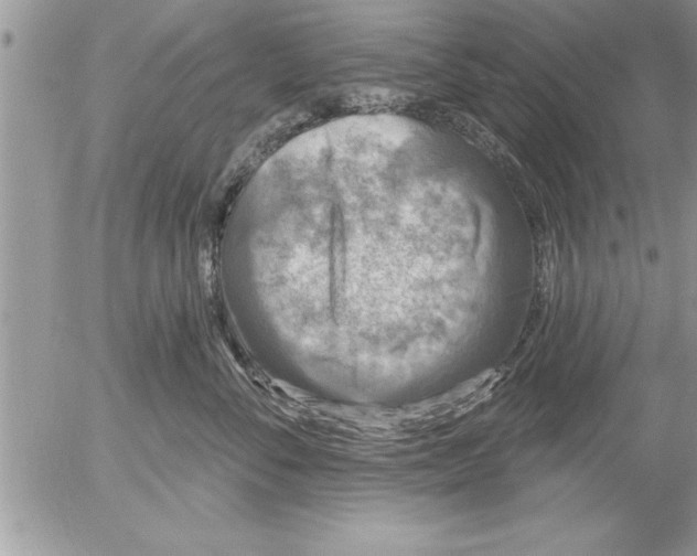 X0000052540716200507291850