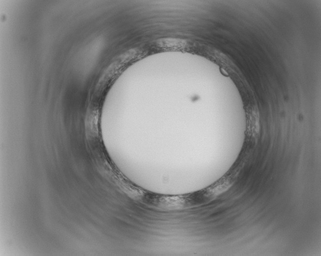 X0000052540717200507291850