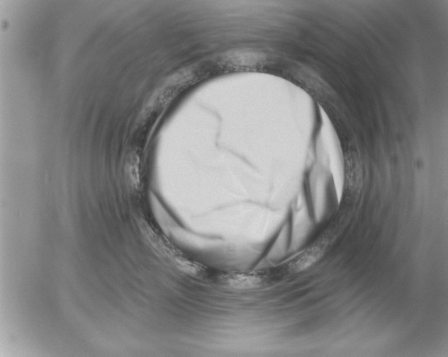 X0000052540718200507291850