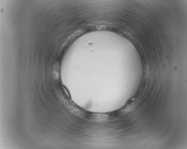 X0000052540719200507291850