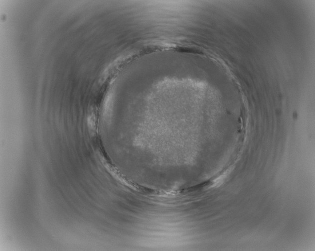 X0000052540720200507291850