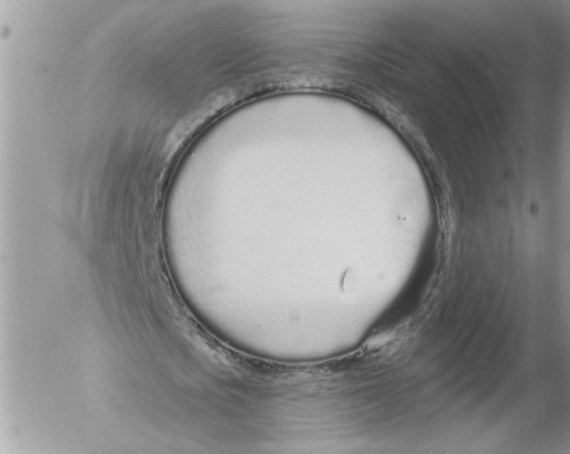 X0000052540721200507291849